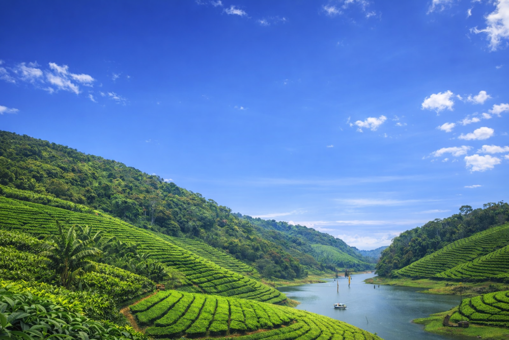 Guests enjoying Sera's Cooking Class in Kumily